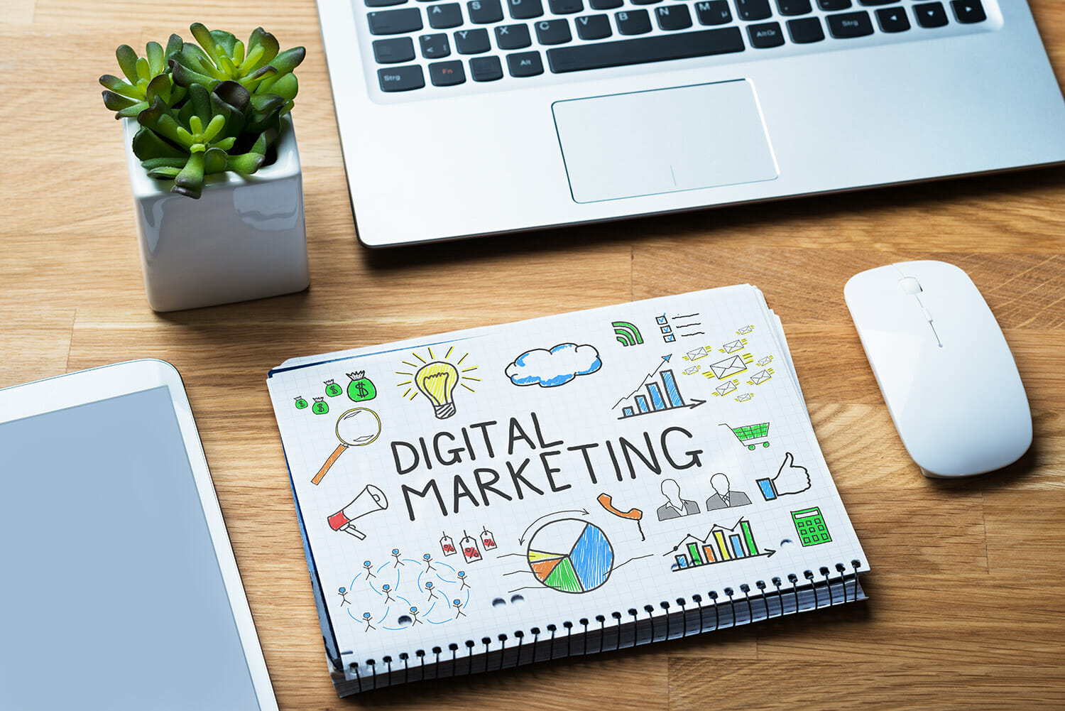 Are You New to Digital Marketing? Here Are the Terms You Need to Know.